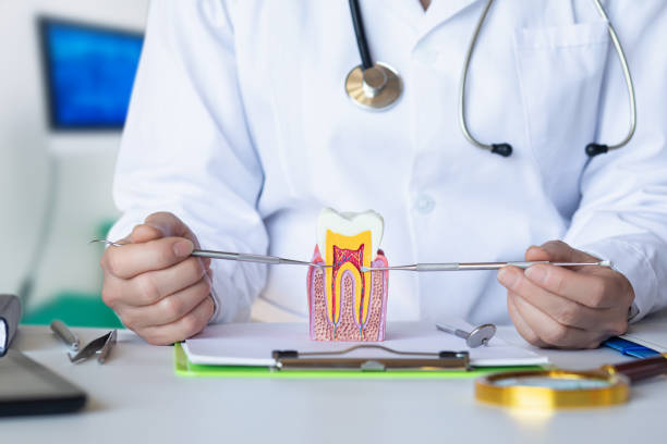Best Broken Tooth Emergency  in Angola, IN